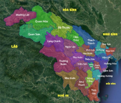 Dịch vụ giặt nệm